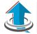 Property Sales and Rentals